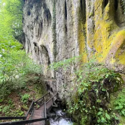 Natural Park Papuk - Daruvar