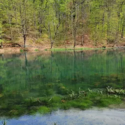 Natural Park Papuk - Daruvar