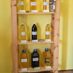 Vineyards and Wine Tasting - Daruvar