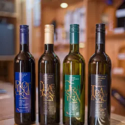 Vineyards and Wine Tasting - Daruvar