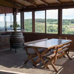 Vineyards and Wine Tasting - Daruvar