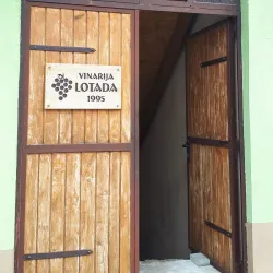 Vineyards and Wine Tasting - Daruvar