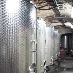 Vineyards and Wine Tasting - Daruvar