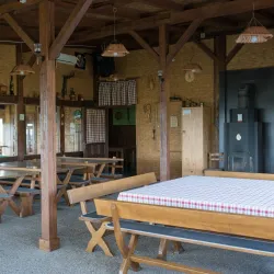 Vineyards and Wine Tasting - Daruvar