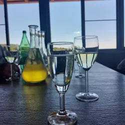 Vineyards and Wine Tasting - Daruvar