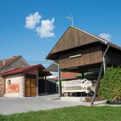 Vineyards and Wine Tasting - Daruvar