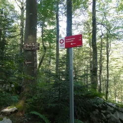 Bijele Stijene (White Rocks) - Delnice