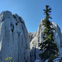 Bijele Stijene (White Rocks) - Delnice