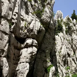 Bijele Stijene (White Rocks) - Delnice