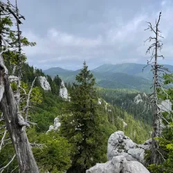 Bijele Stijene (White Rocks) - Delnice