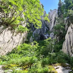 Bijele Stijene (White Rocks) - Delnice