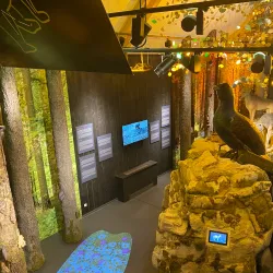 Gorski Kotar Museum - Delnice