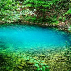 Kupa River - Delnice