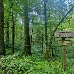 Risnjak National Park - Delnice
