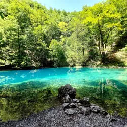 Risnjak National Park - Delnice