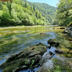 Risnjak National Park - Delnice