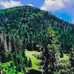 Risnjak National Park - Delnice