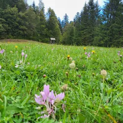 Risnjak National Park - Delnice