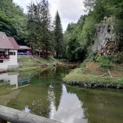 Stara Sušica - Delnice