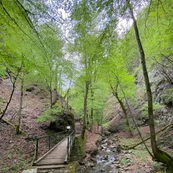 Zeleni Vir Waterfall - Delnice