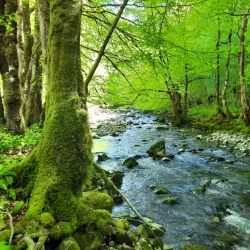 Zeleni Vir Waterfall - Delnice