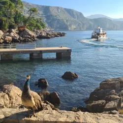 Lokrum Island - Dubrovnik