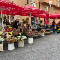 Local Artisan Market - Dugo Selo