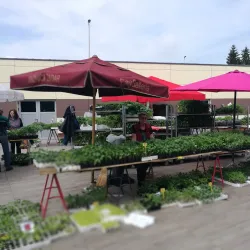 Gospić Market - Gospic