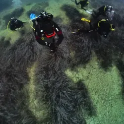 Gradac Diving Spots - Gradac