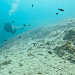 Gradac Diving Spots - Gradac