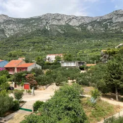 Gradac Olive Groves - Gradac