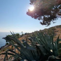 Dubovica Beach - Hvar