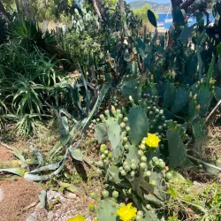 Pakleni Islands - Hvar