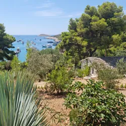 Pakleni Islands - Hvar