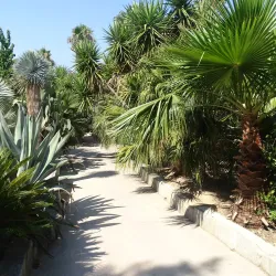 Pakleni Islands - Hvar