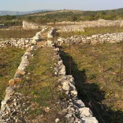 Stari Grad Plain - Hvar