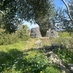 Stari Grad Plain - Hvar