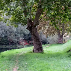 Holy Trinity Church - Knin