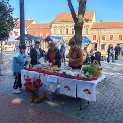 Koprivnica Town Square - Koprivnica