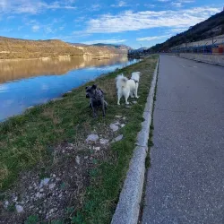 Bakar Bay - Kraljevica