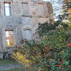 Island of Krk (nearby) - Kraljevica