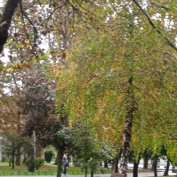 Krapina River Park - Krapina