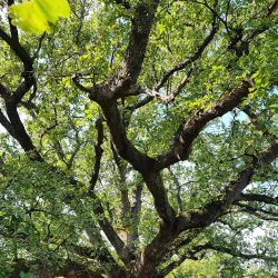 Island Hiking and Cycling Trails - Krk