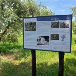 Košljun Island - Krk