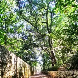 Košljun Island - Krk