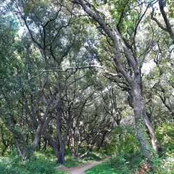 Košljun Island - Krk