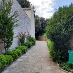 Košljun Island - Krk