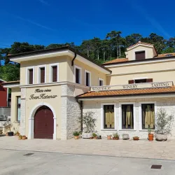 Olive Groves and Vineyards - Krk