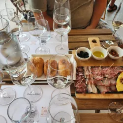 Olive Groves and Vineyards - Krk