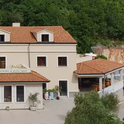 Olive Groves and Vineyards - Krk